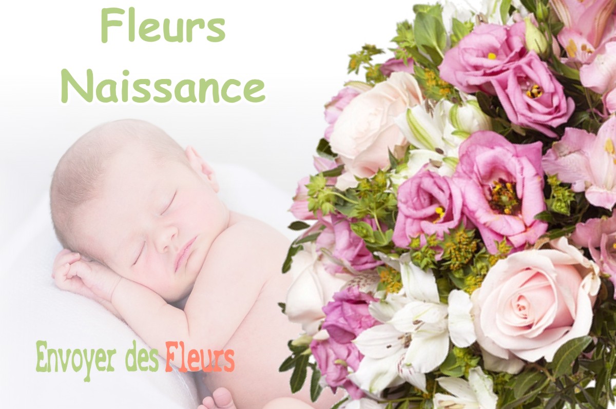 lIVRAISON FLEURS NAISSANCE à MONTASTRUC-SAVES