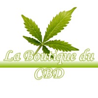 LA BOUTIQUE DU CBD MONTASTRUC-SAVES 